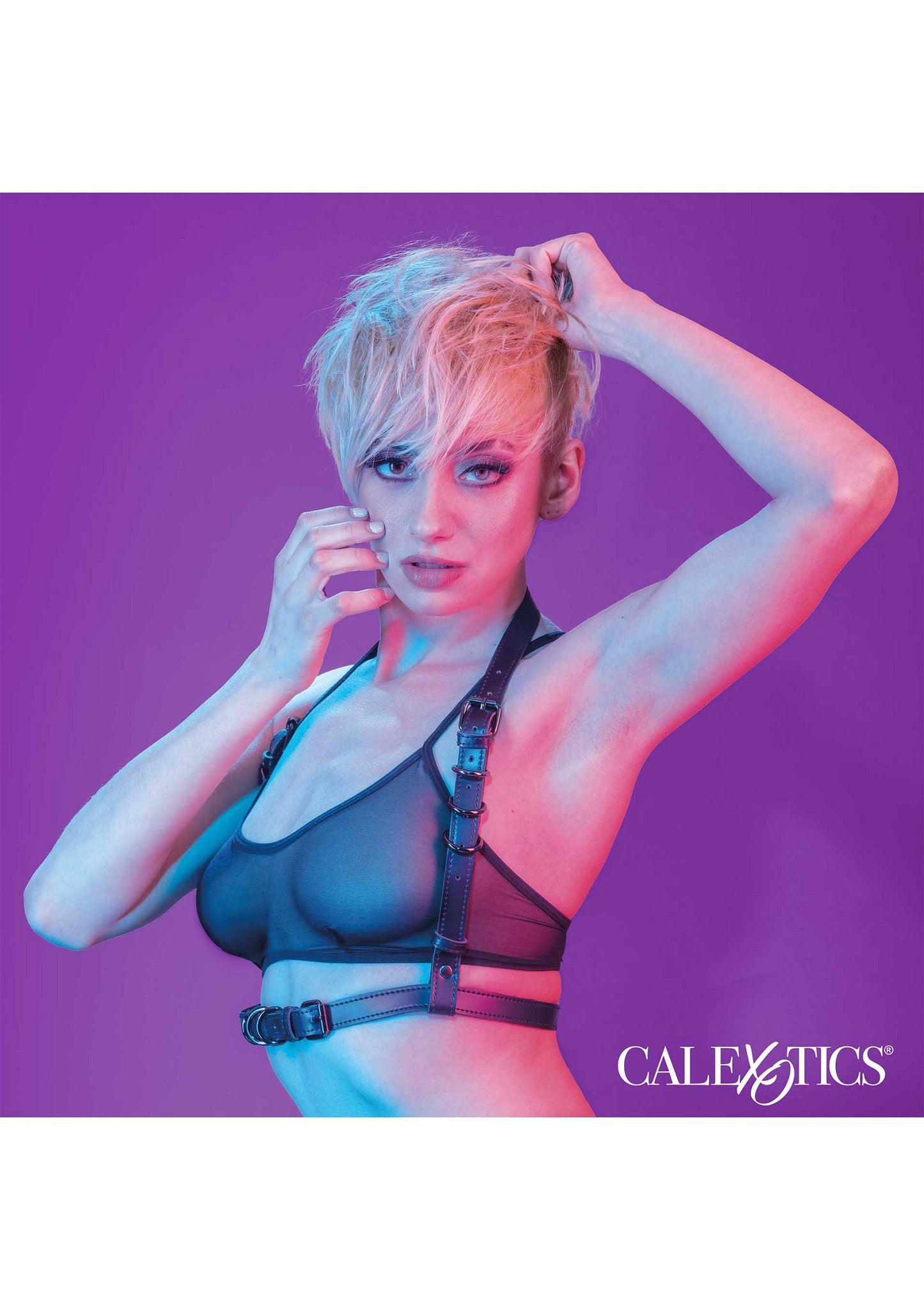 Halter Buckle Harness