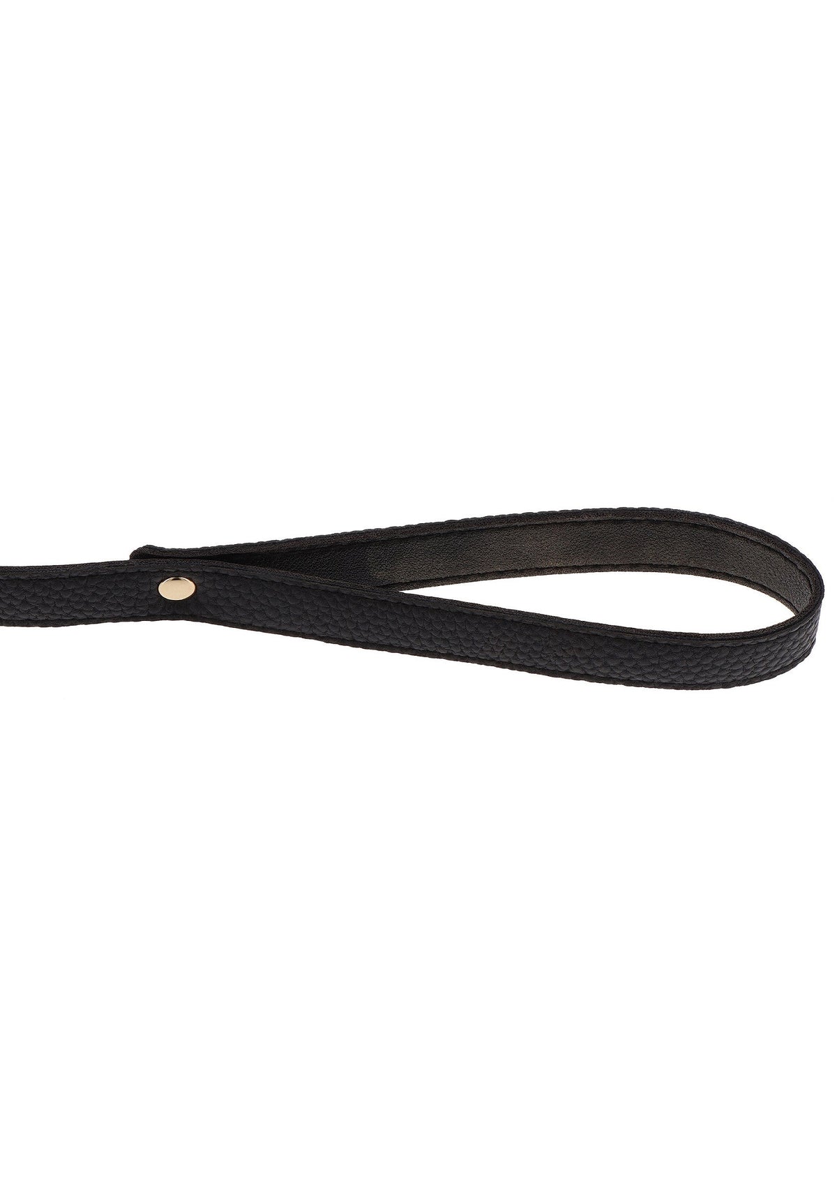 Statement Leash