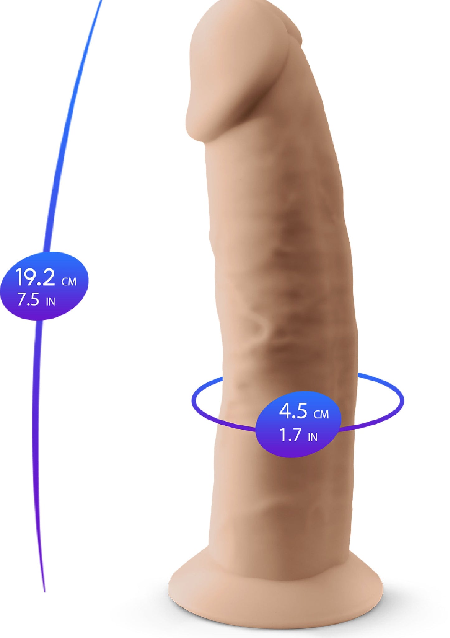 Dong Model 7.5 inch
