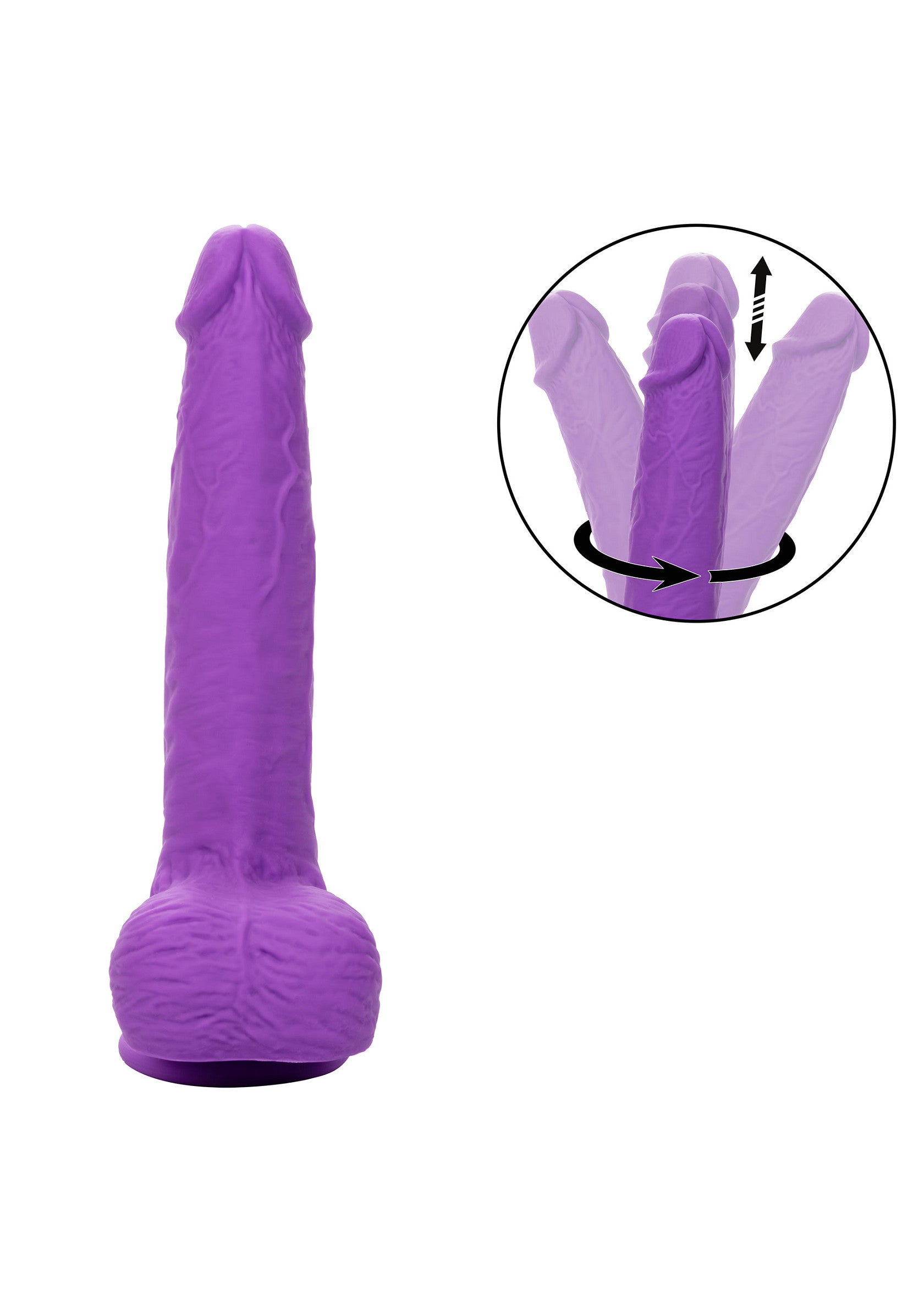 Gyrating & Thrusting Studs