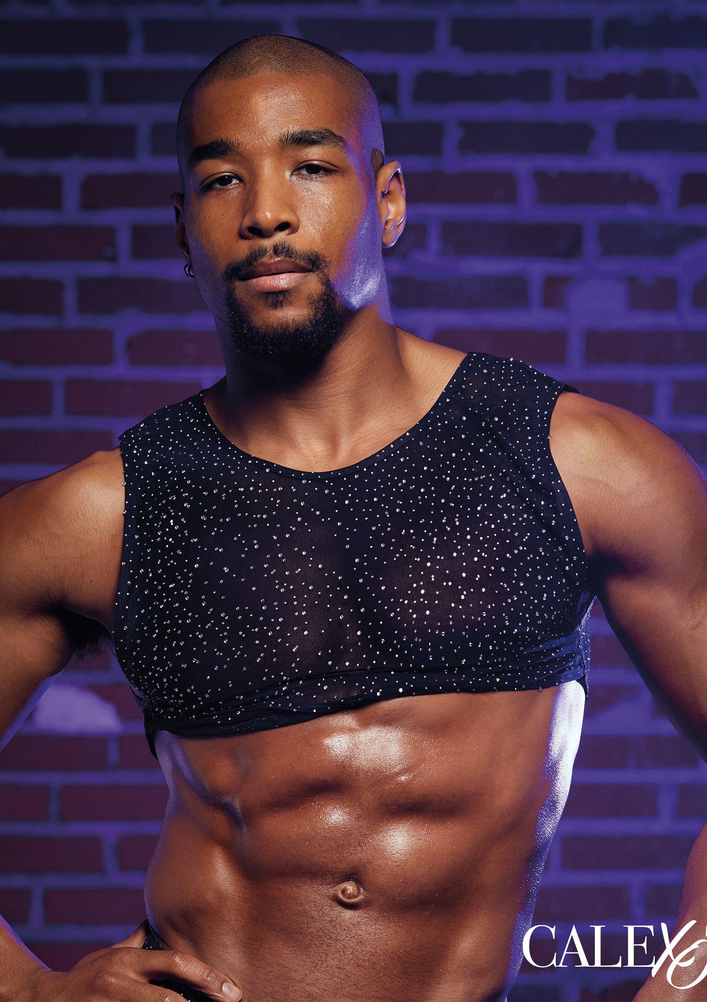 Radiance Crop Top