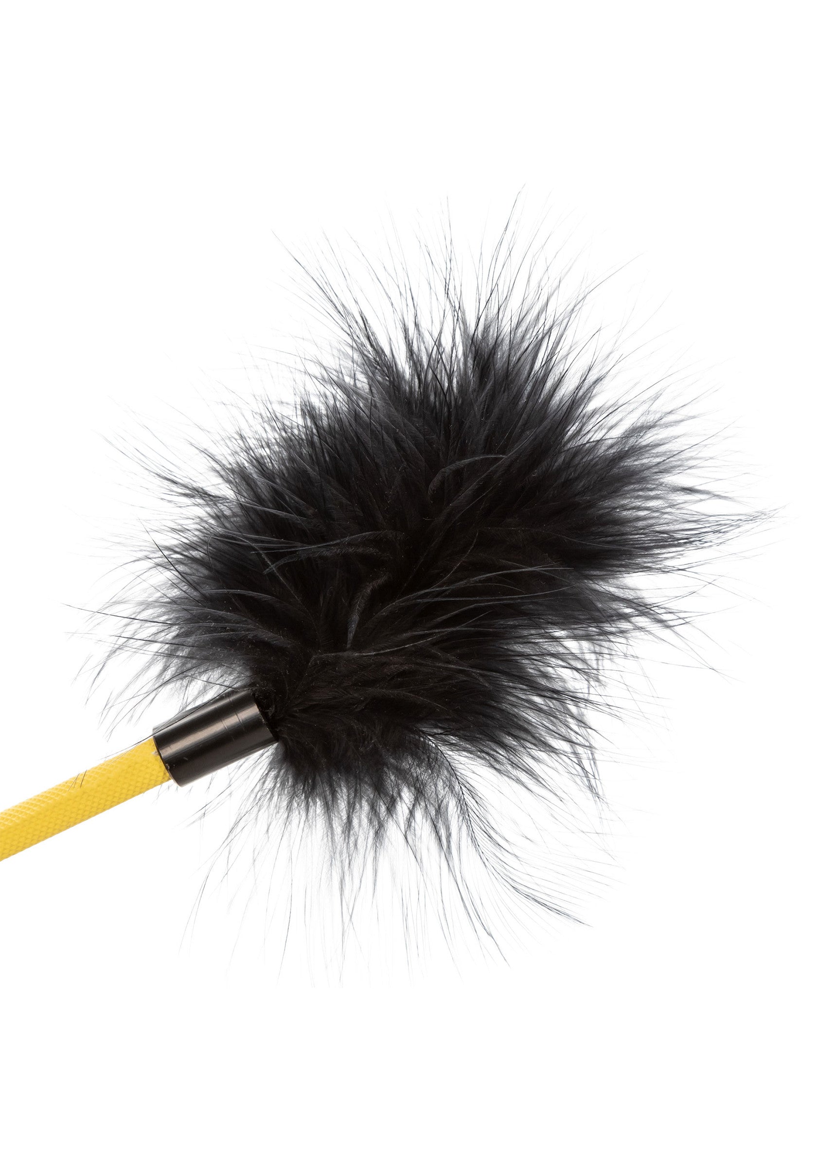 Boundless Feather Crop