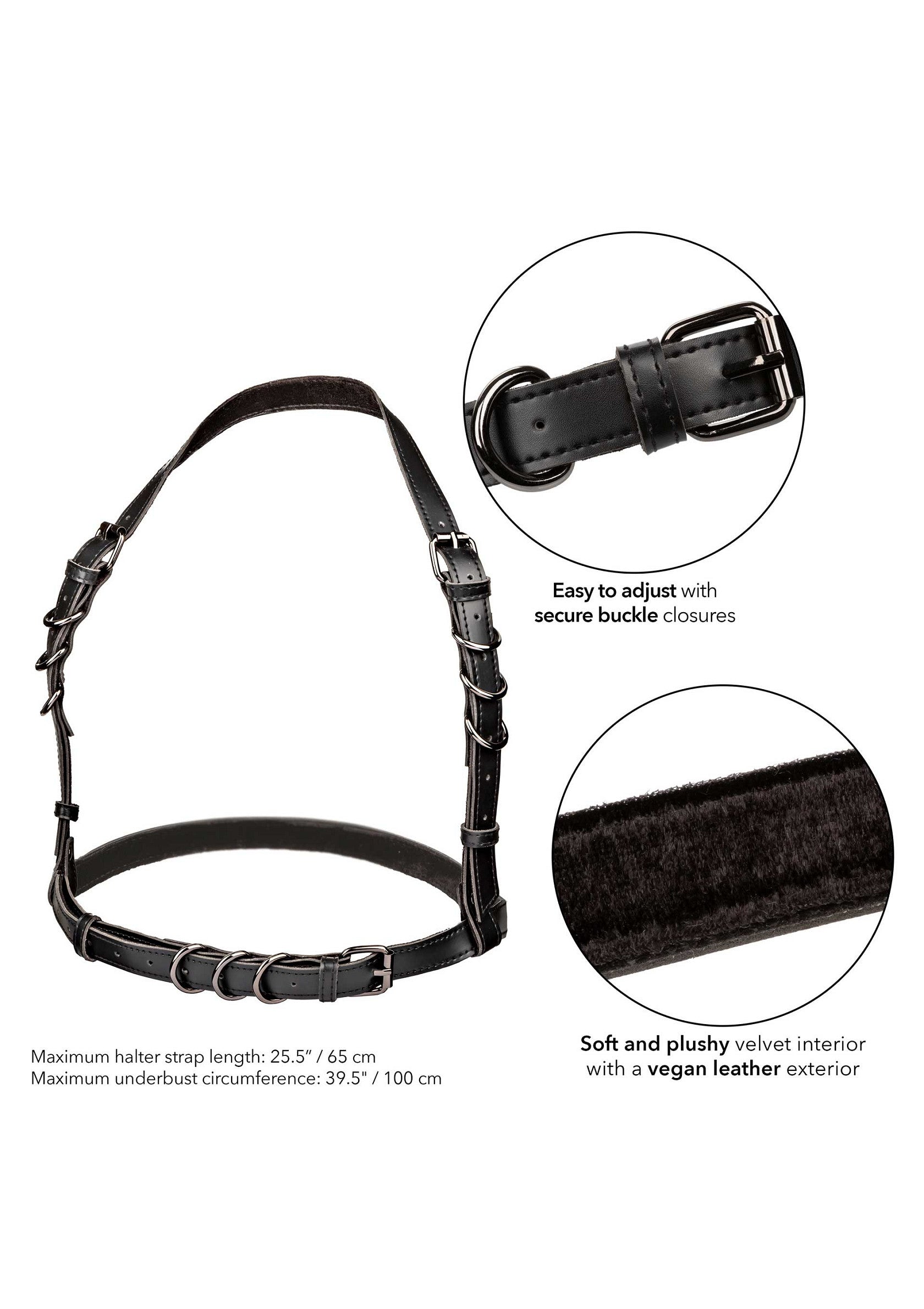 Halter Buckle Harness