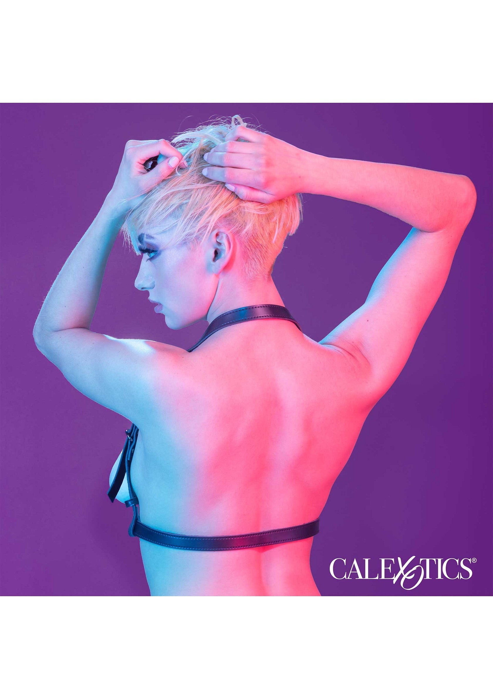 Halter Buckle Harness