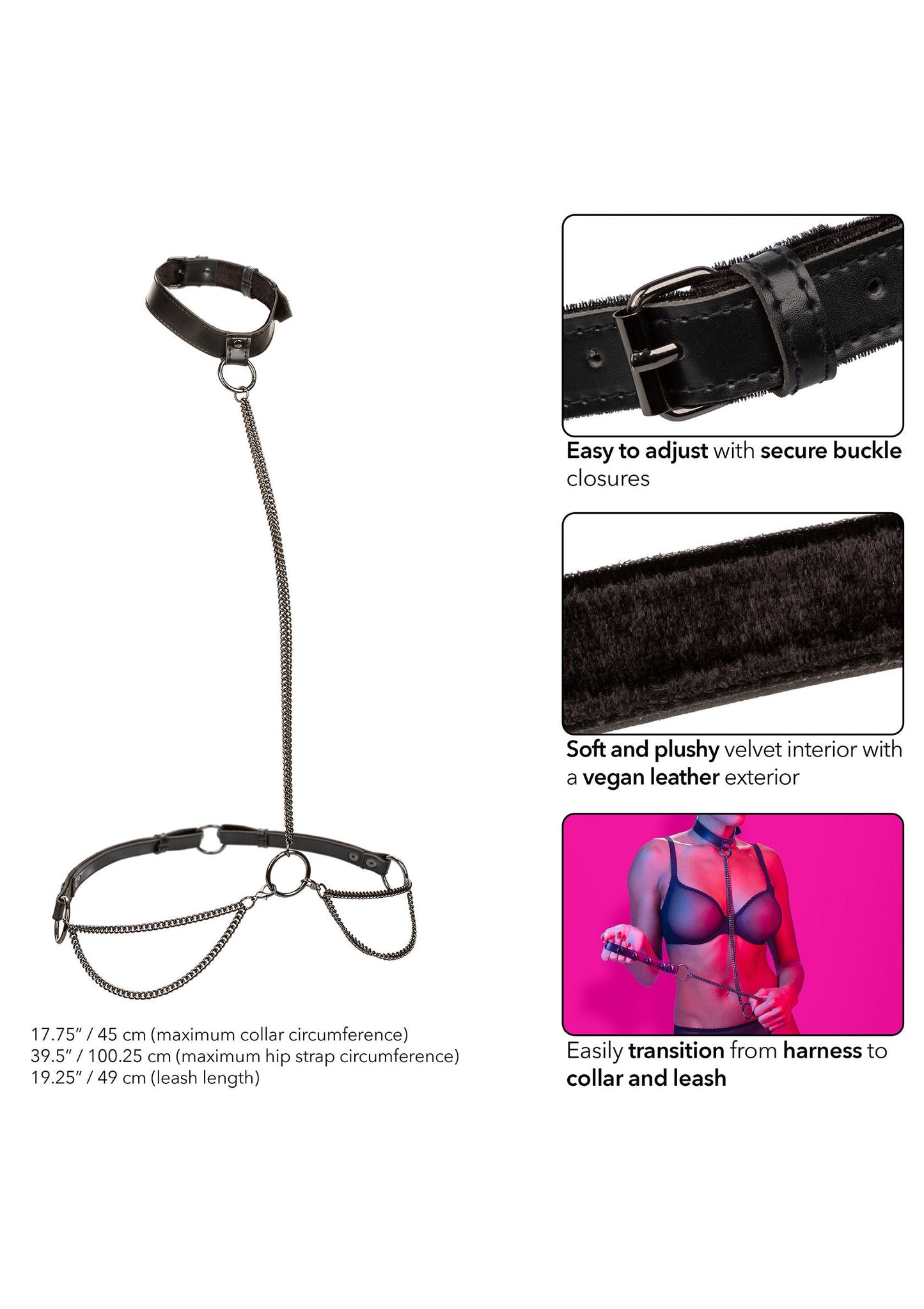 Chain Halter & Collar