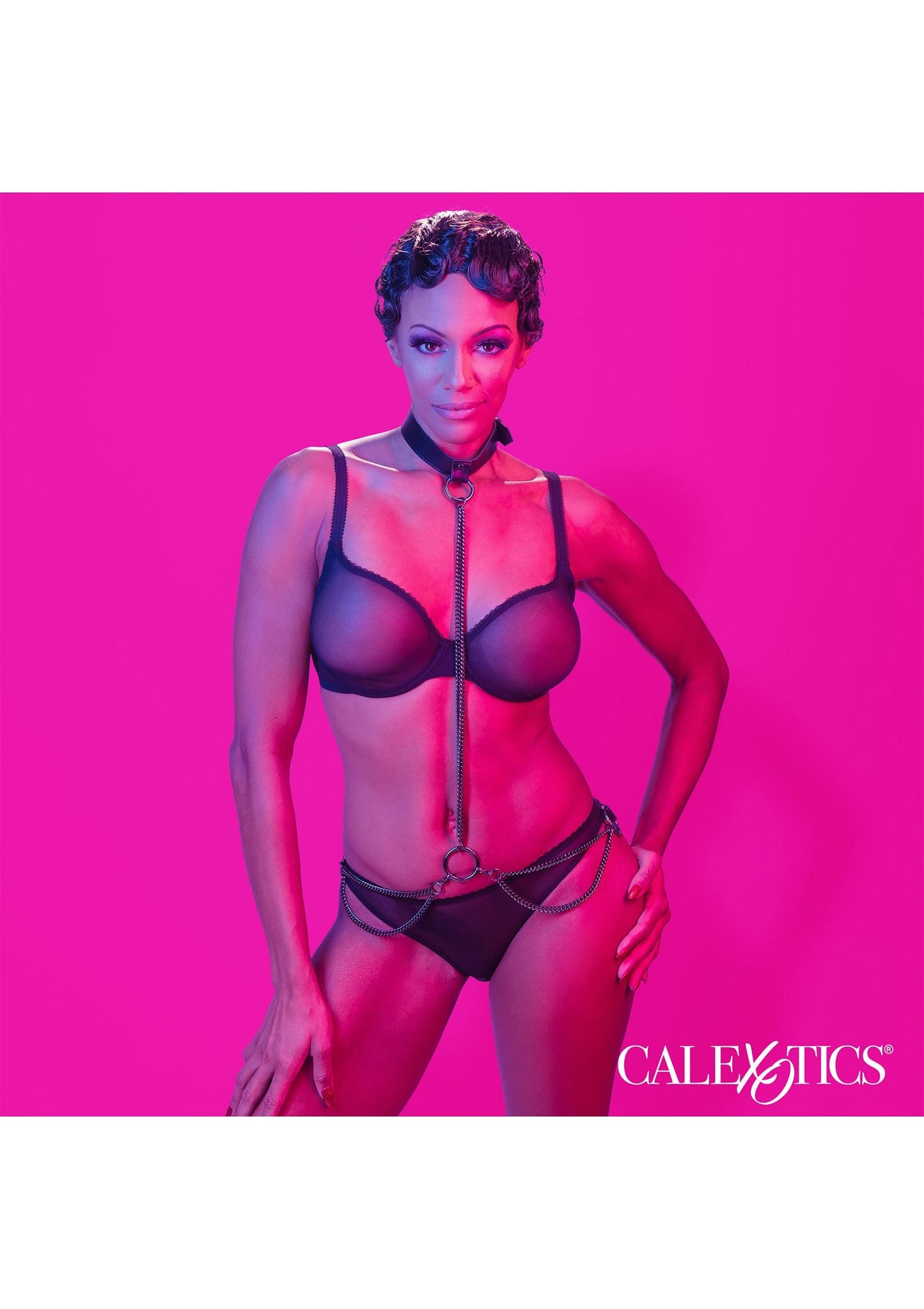 Chain Halter & Collar