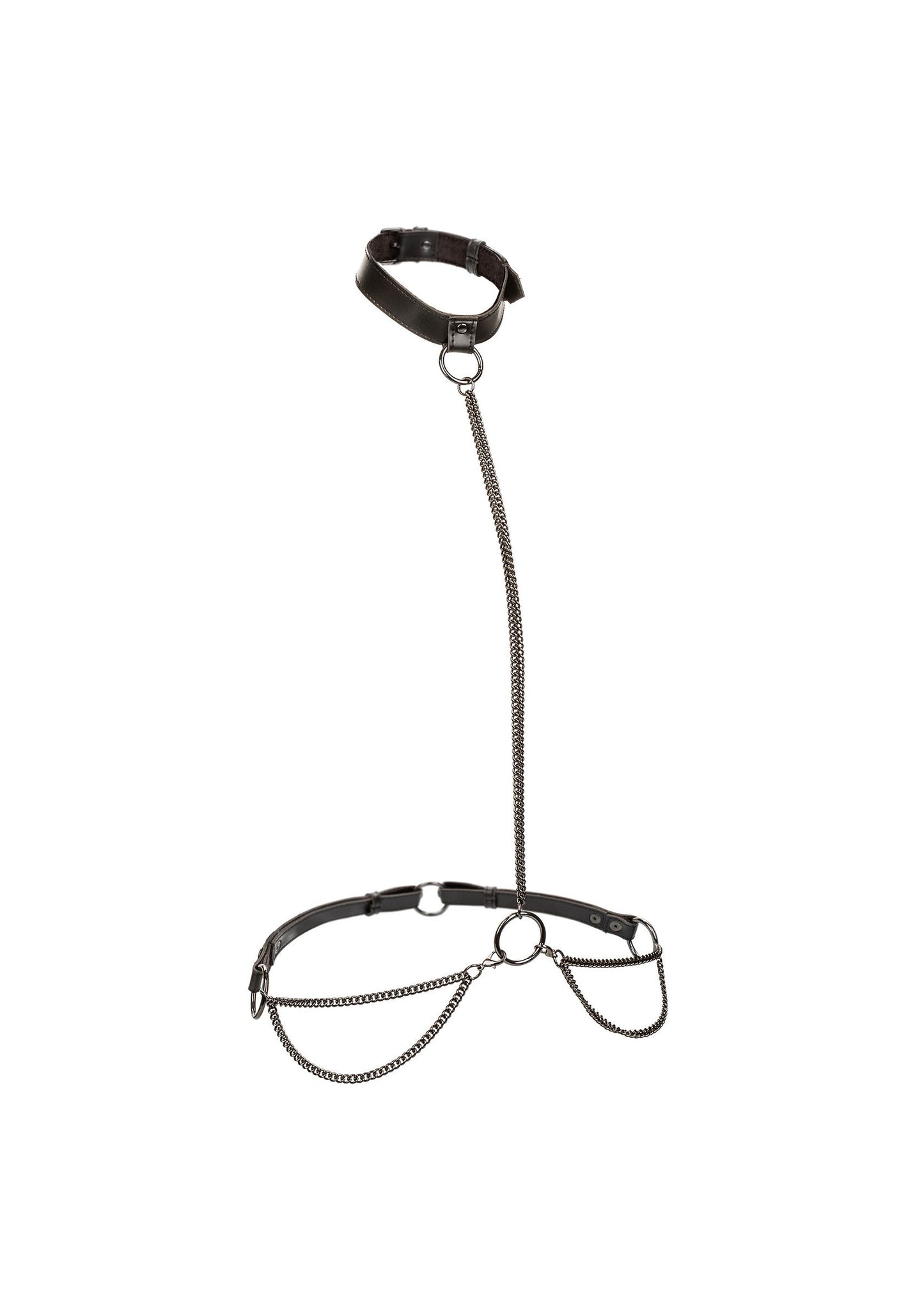 Chain Halter & Collar Plus