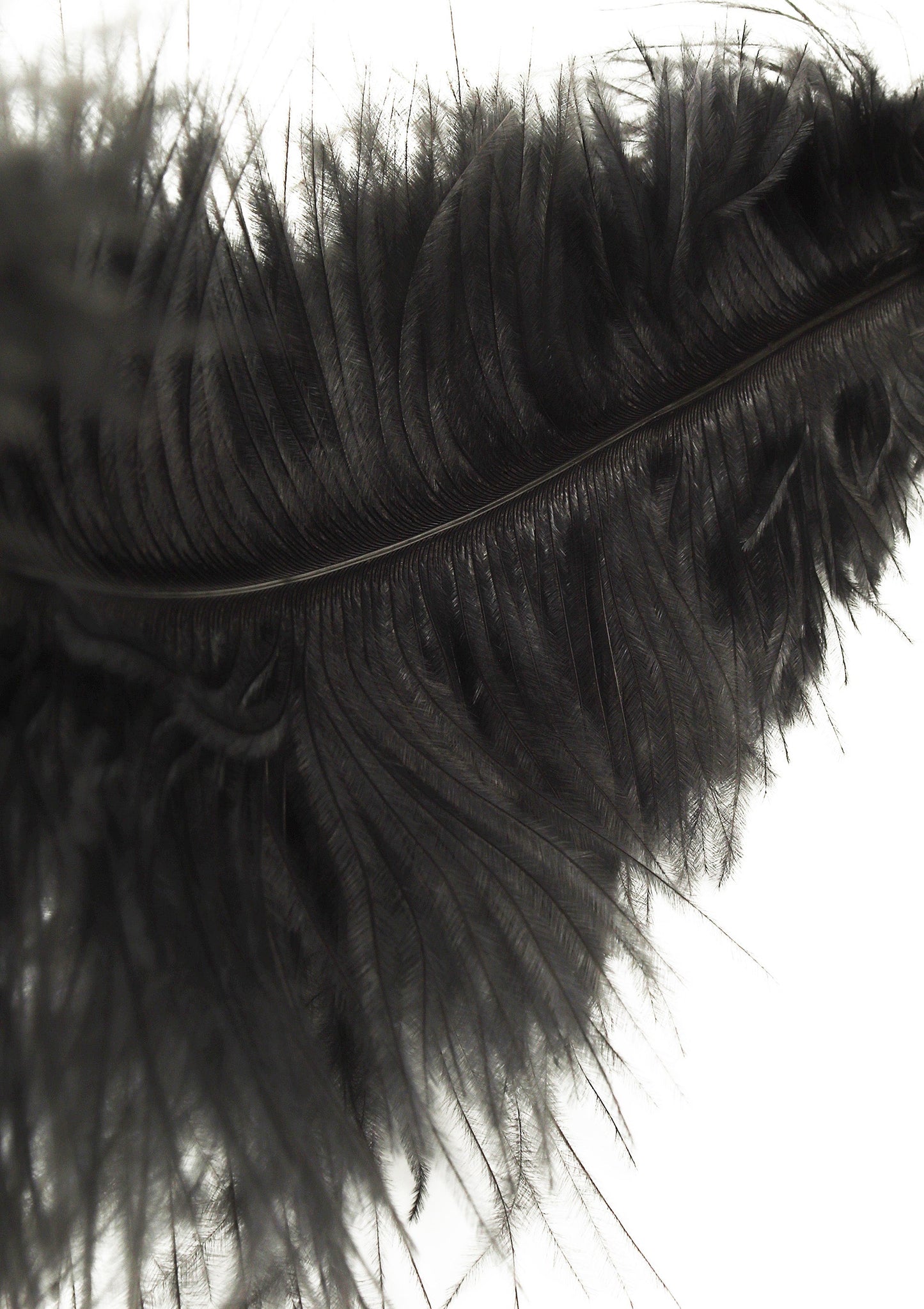 Double Feather Tickler