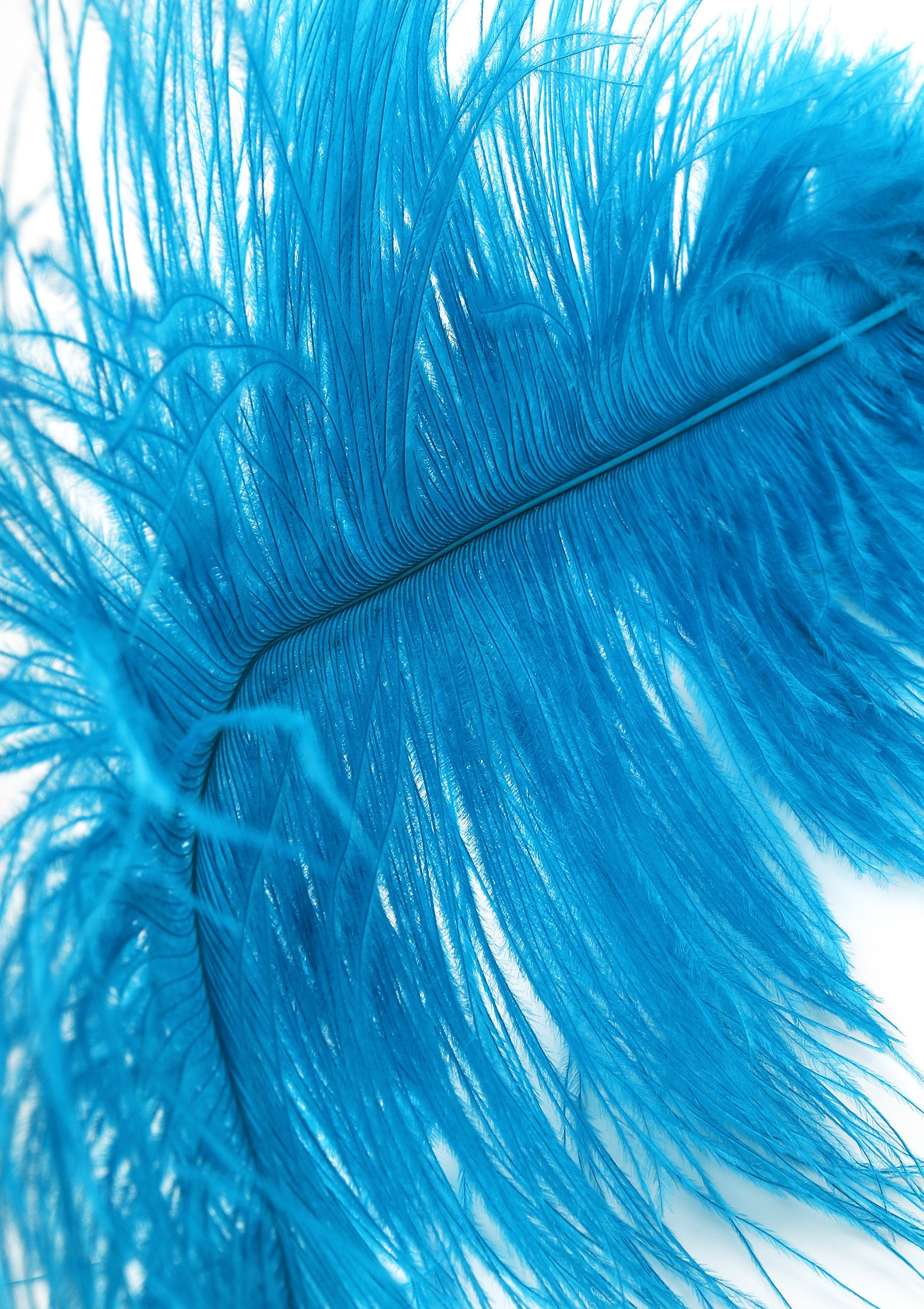 Double Feather Tickler