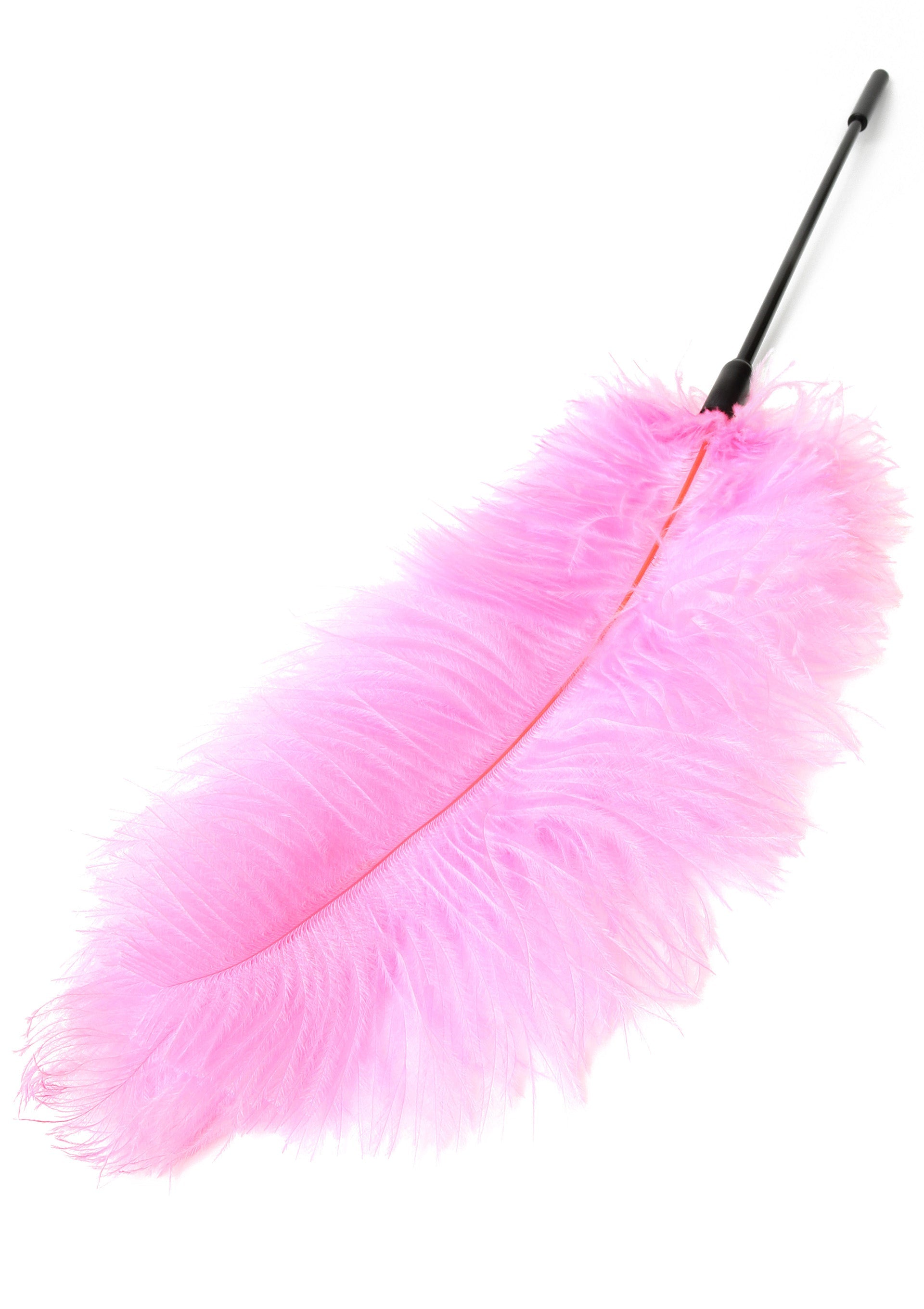 Double Feather Tickler