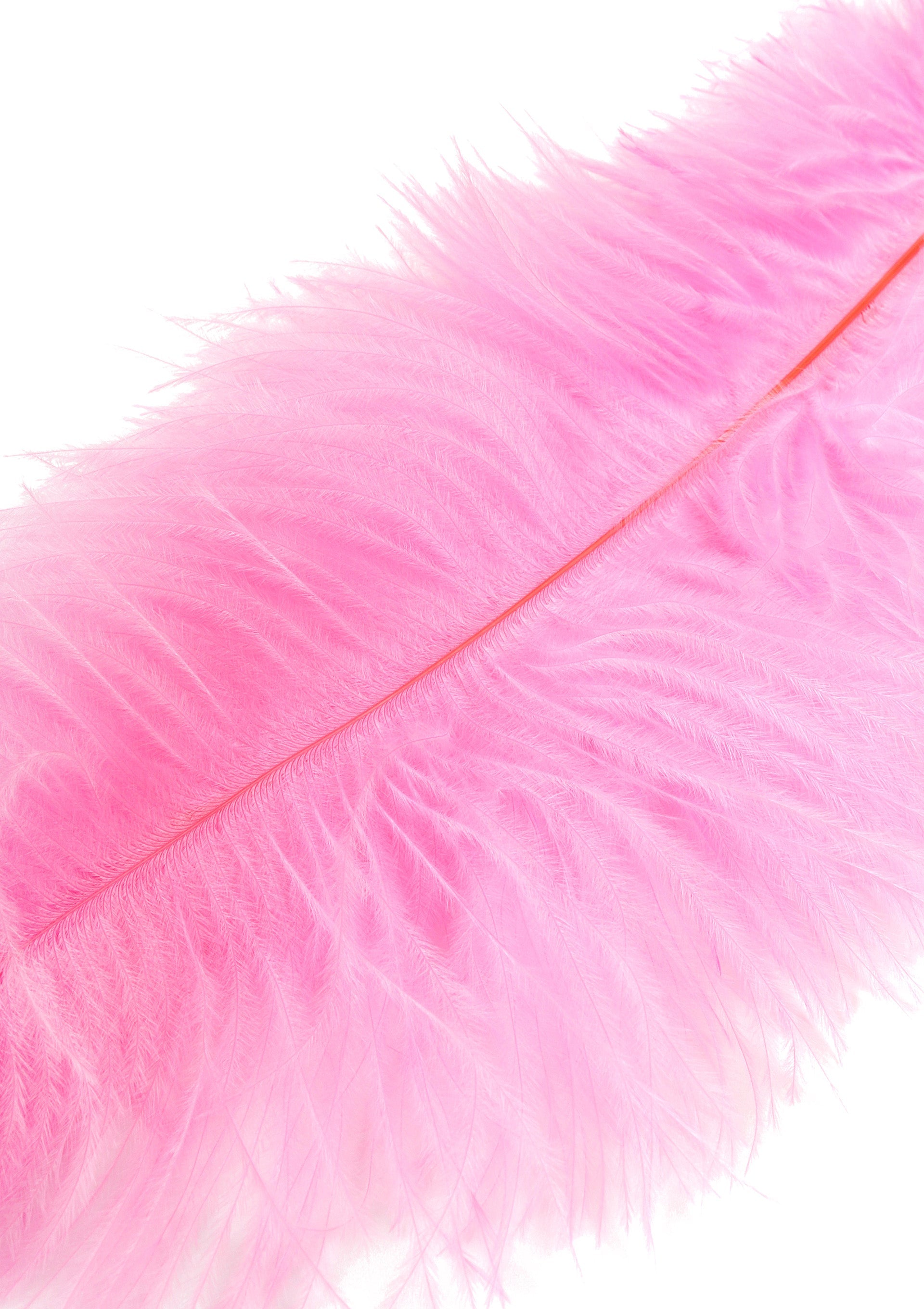 Double Feather Tickler