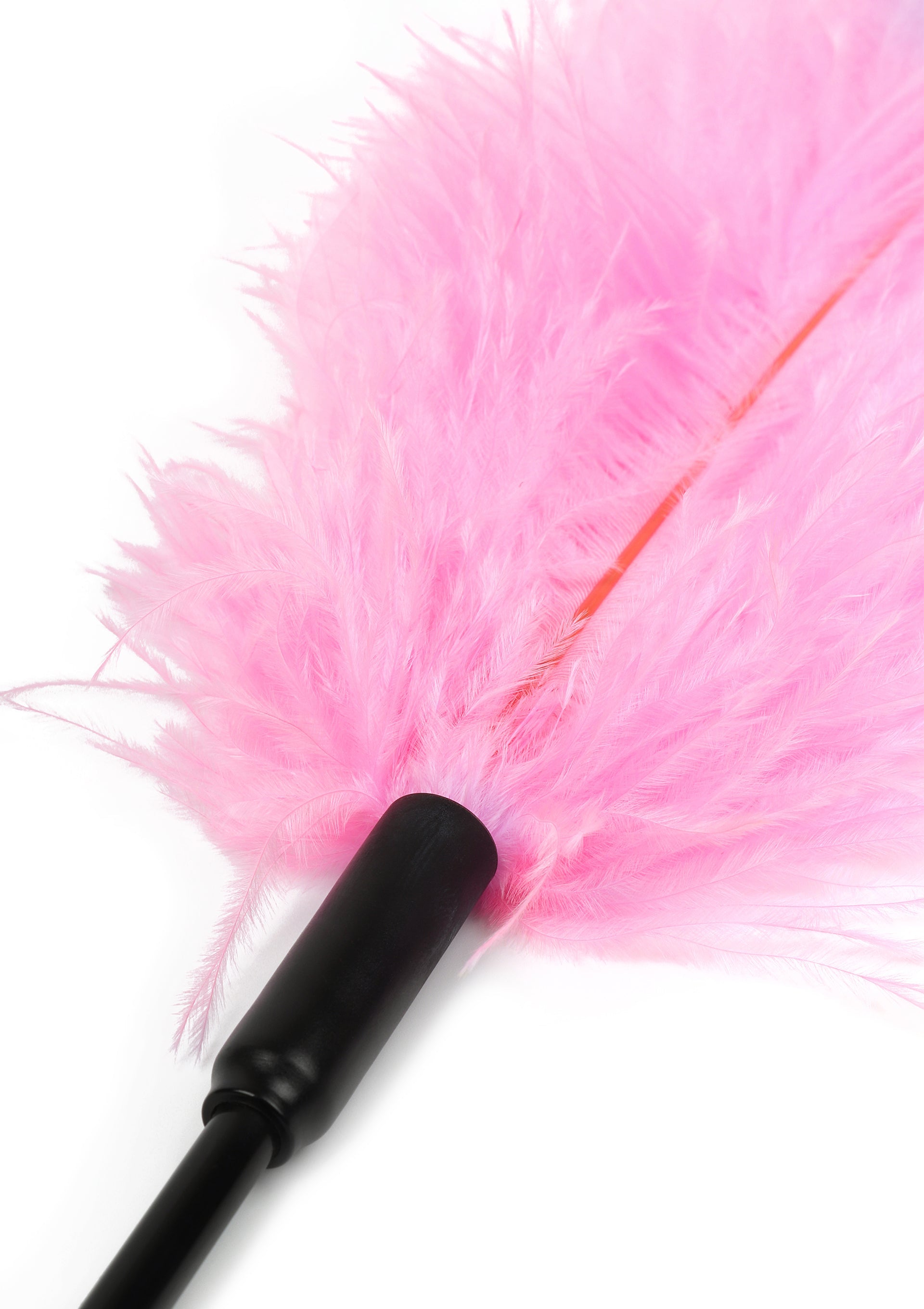 Double Feather Tickler