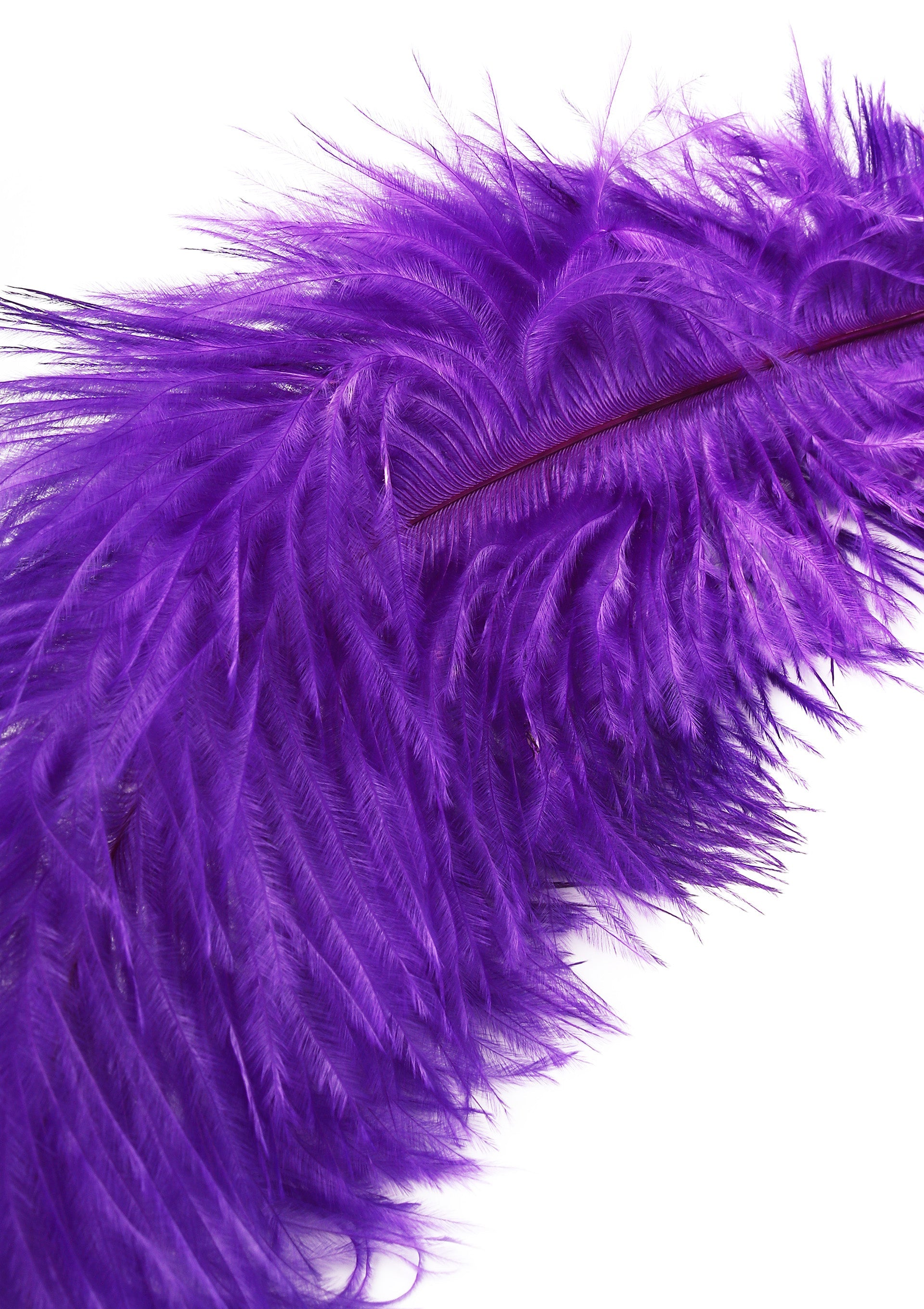Double Feather Tickler
