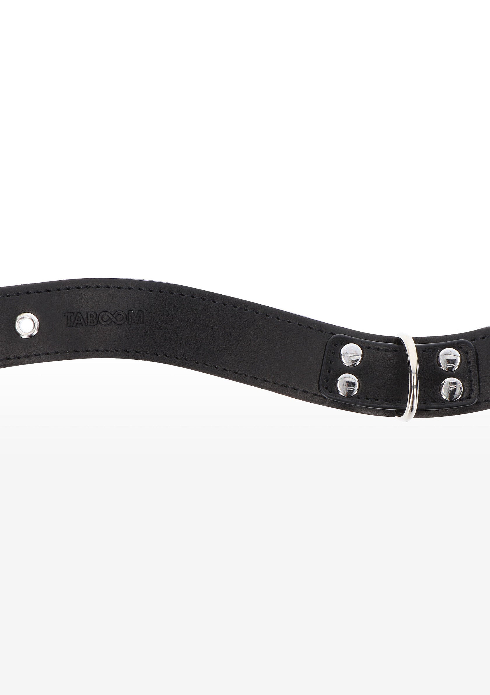 Elegant D-Ring Collar