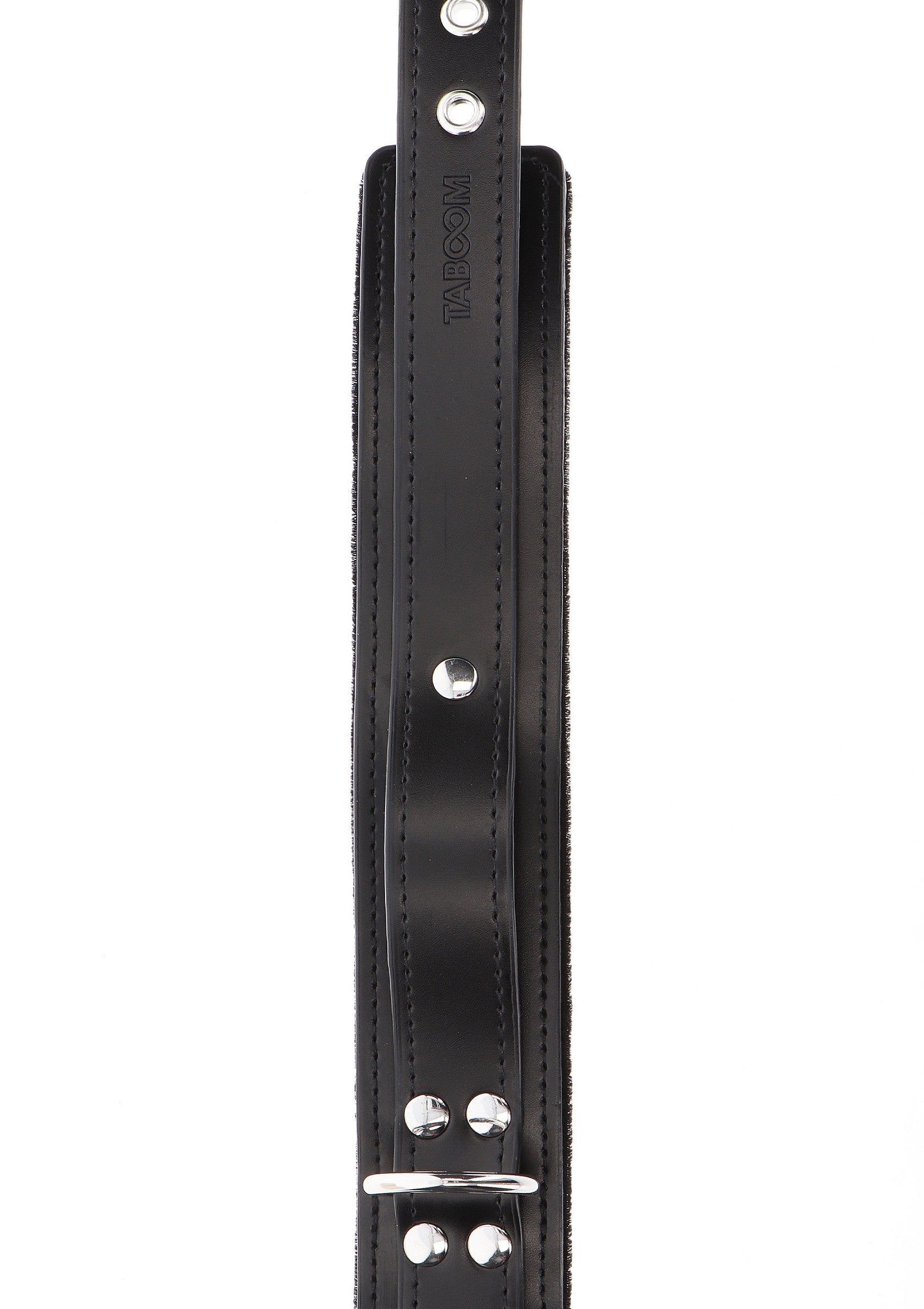Heavy D-Ring Collar
