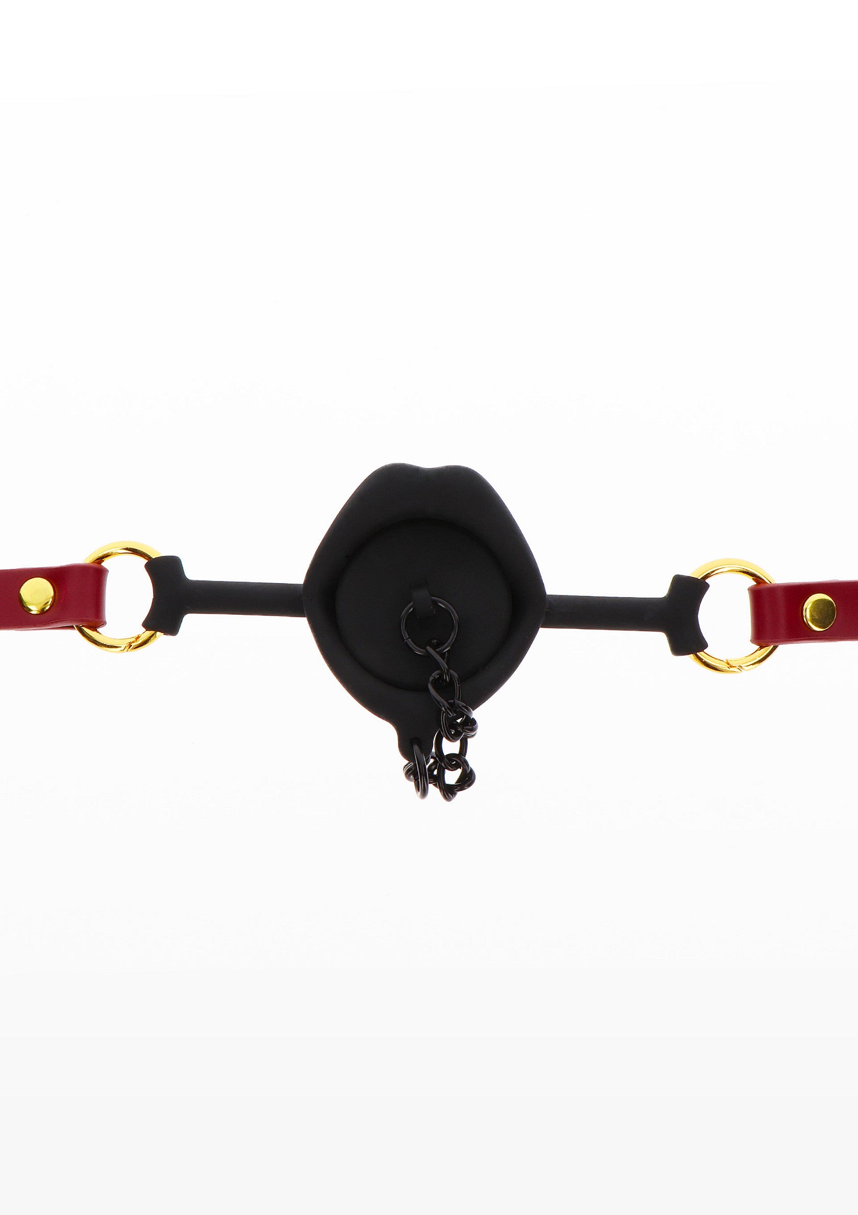 Kinky Gag with Plug