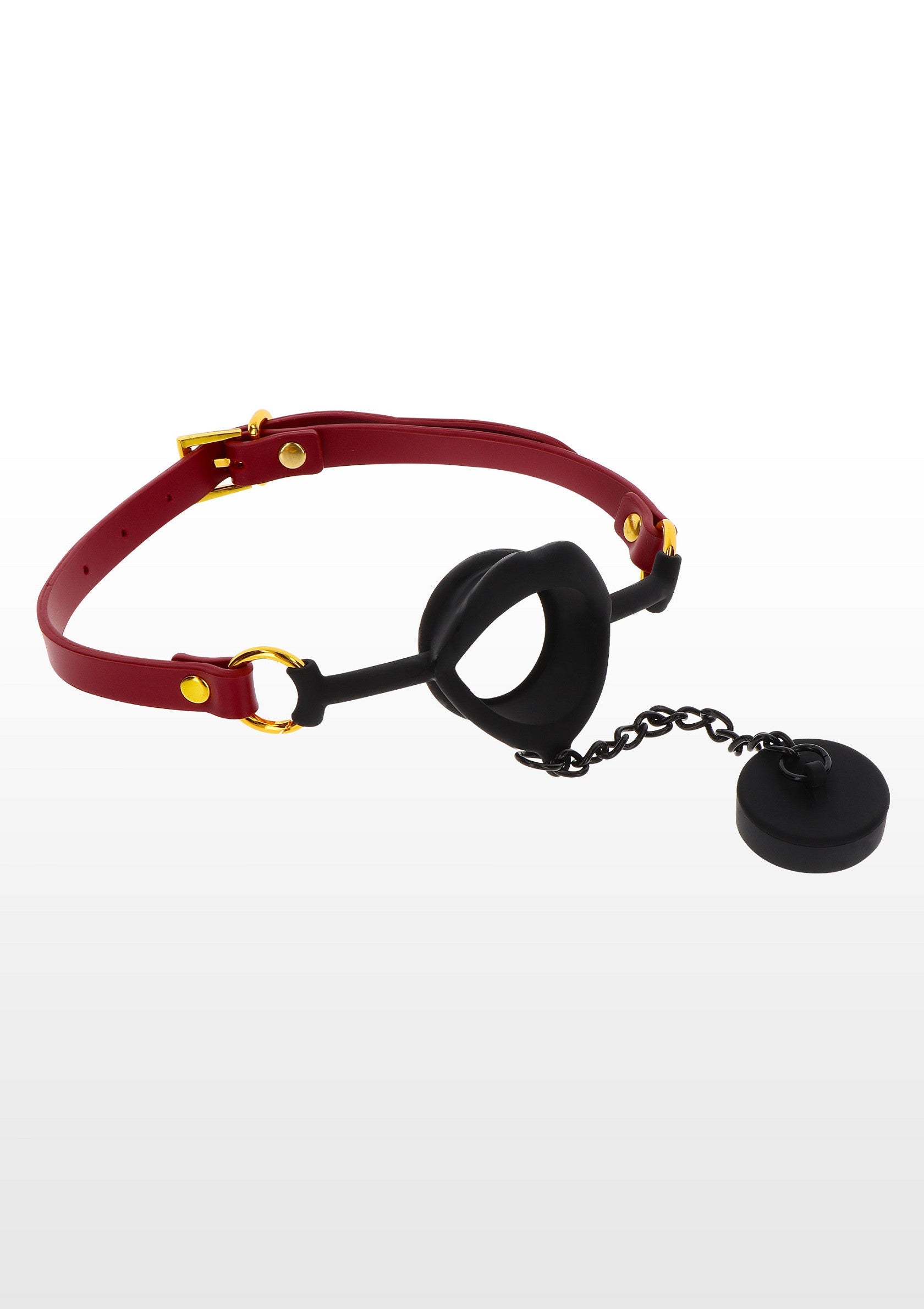 Kinky Gag with Plug