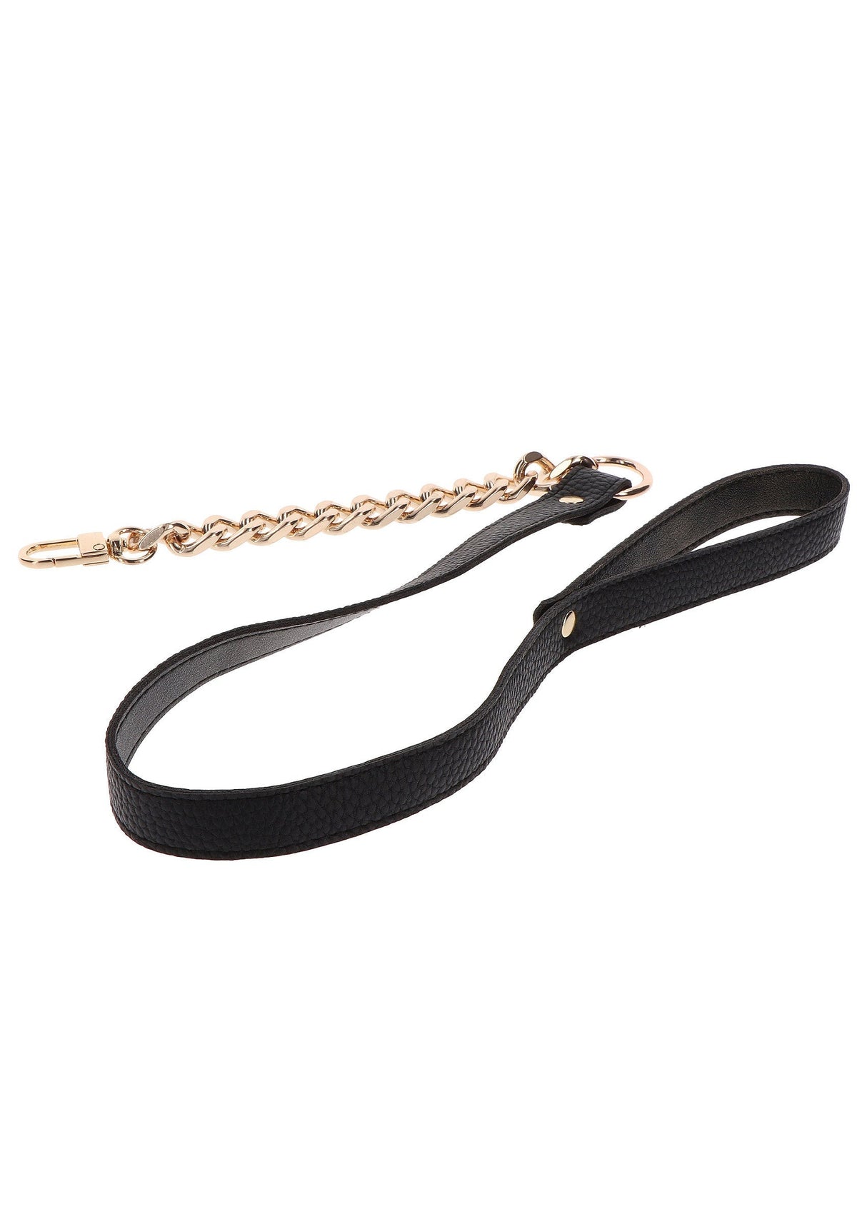 Statement Leash