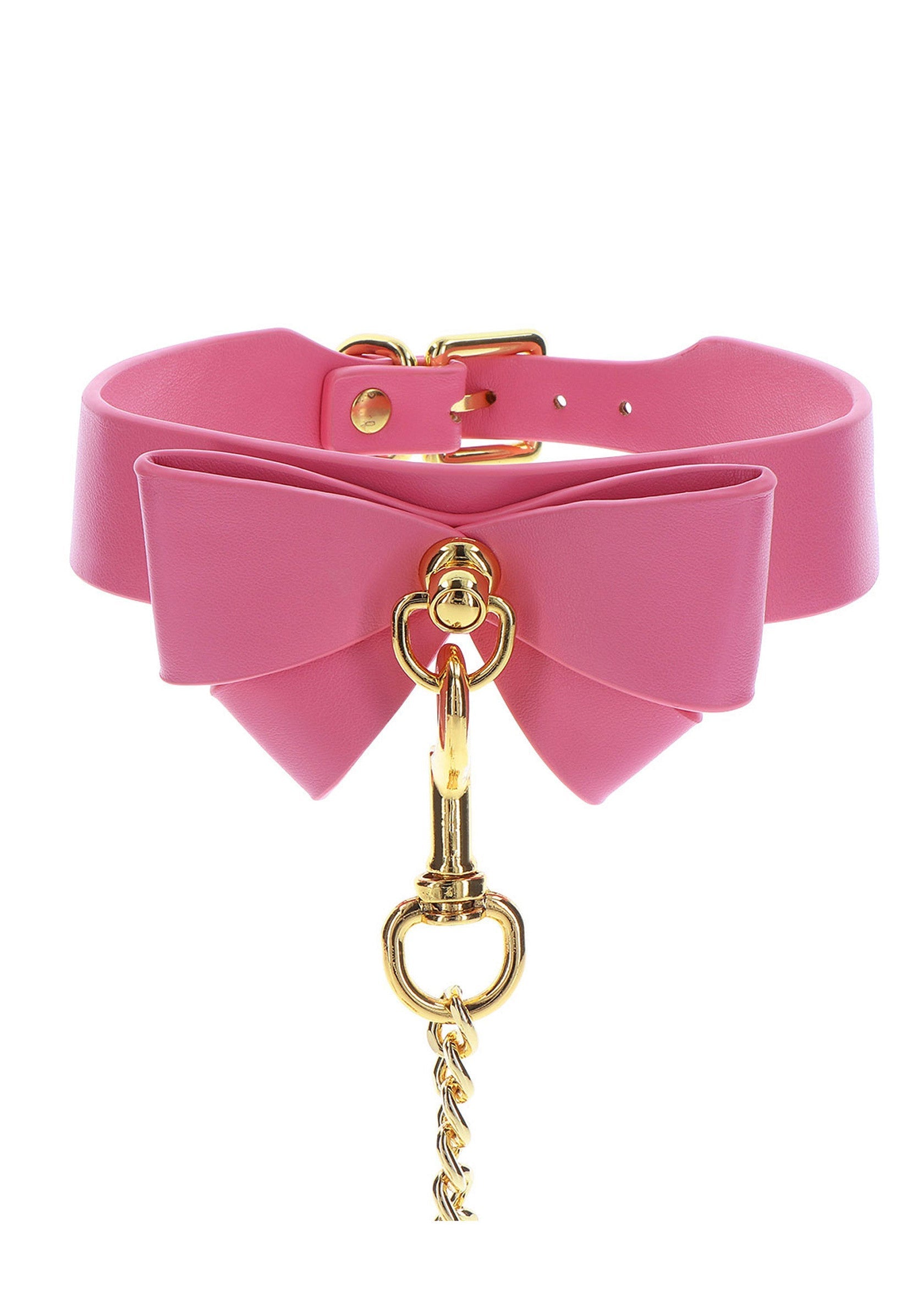 Collar and Leash