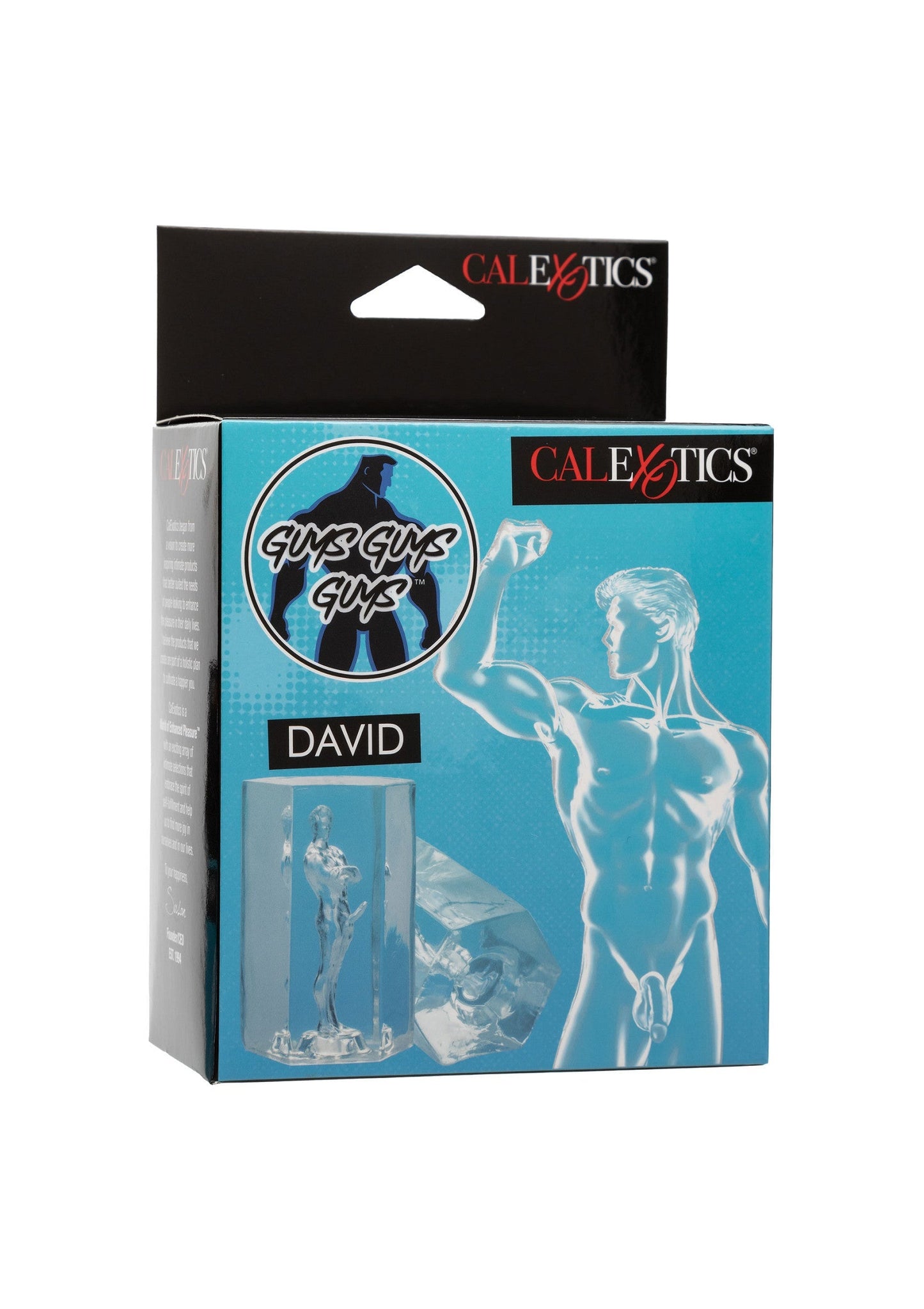 Guys Guys Guys David