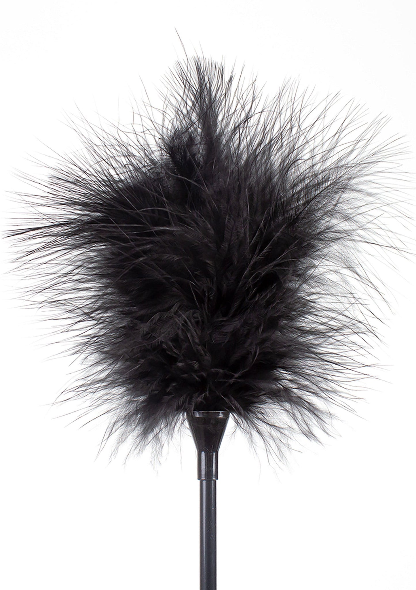 Feather Tickler & Whip