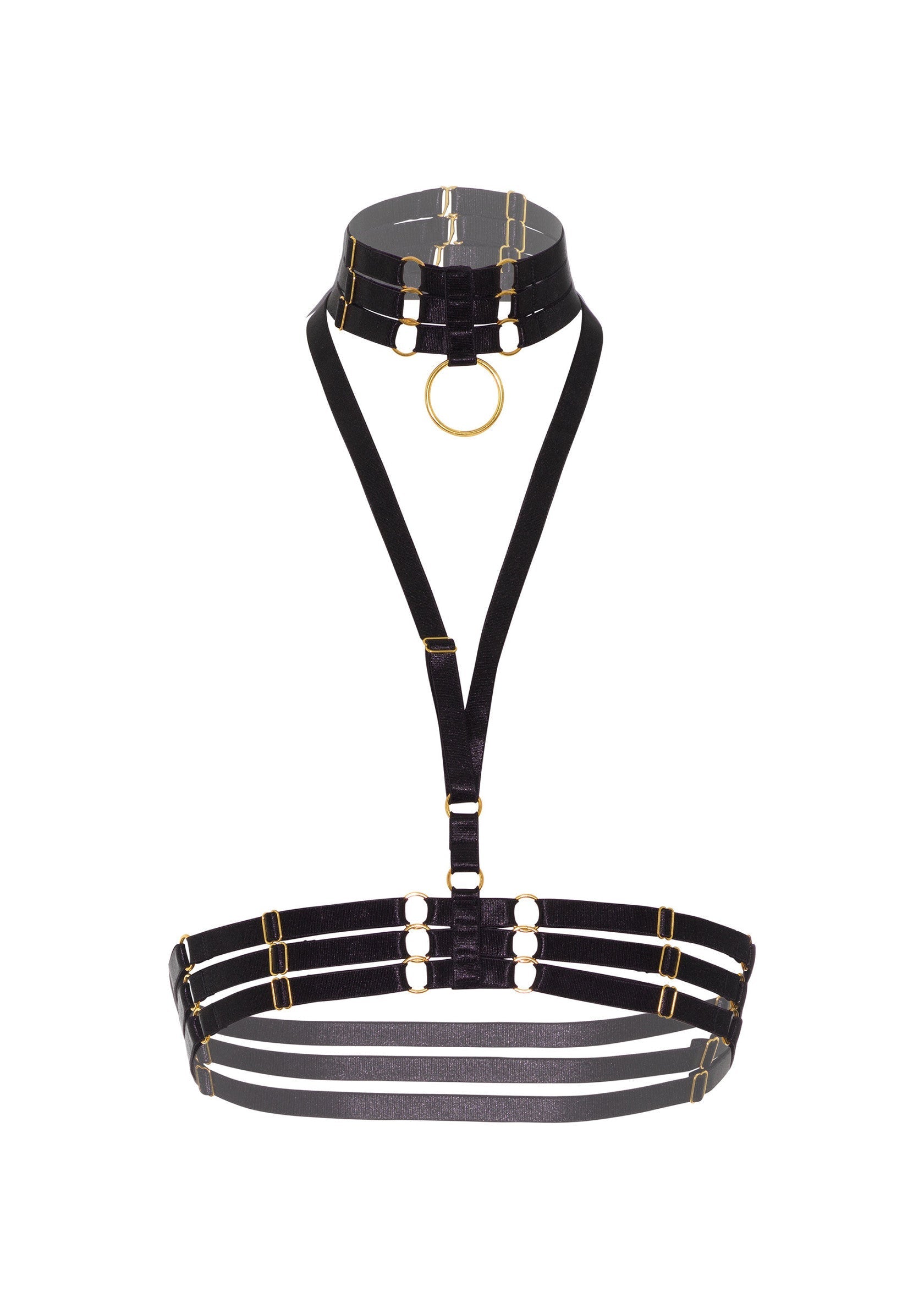 Halter Harness Plus O-Ring Collar