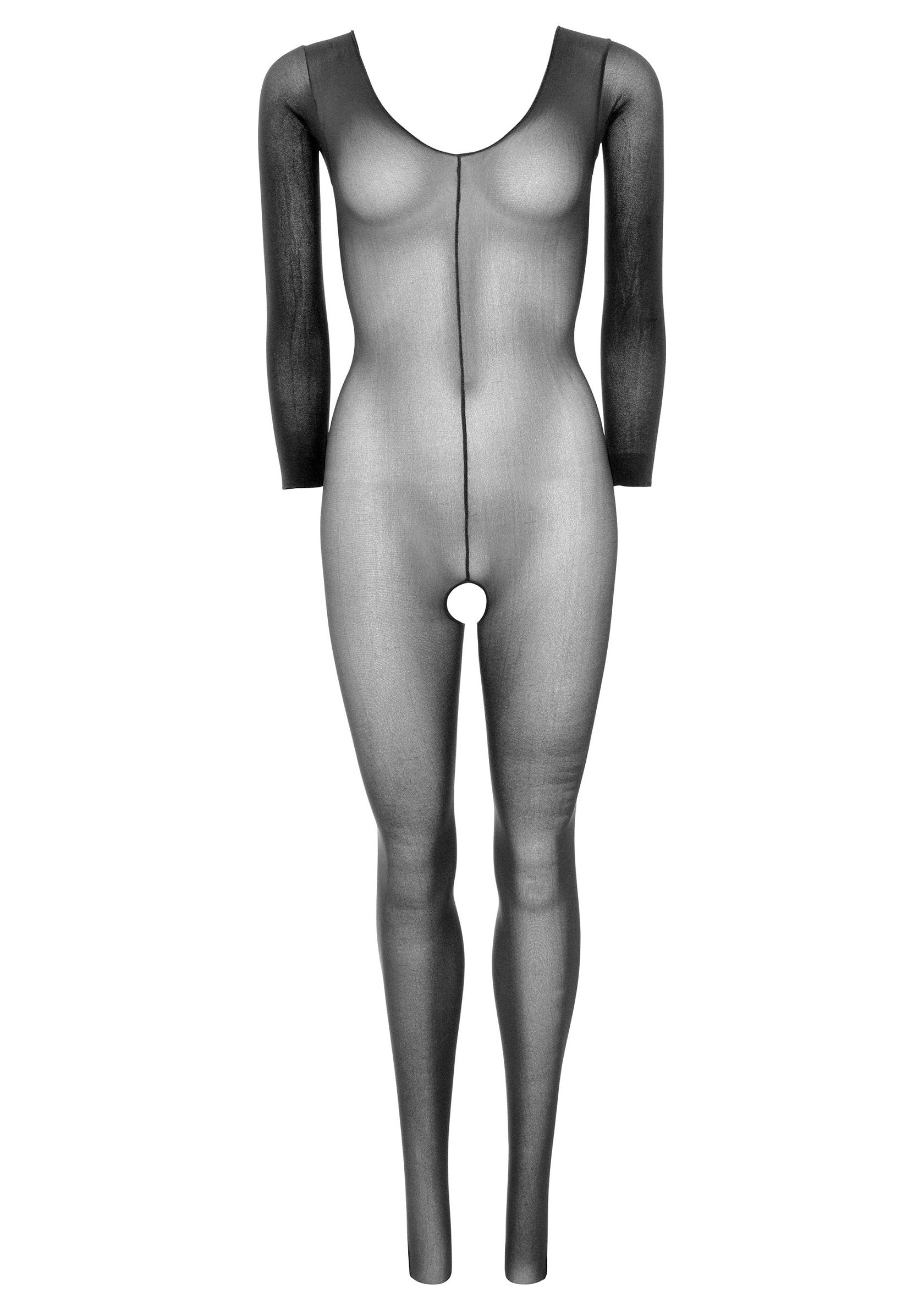 Sheer Long Sleeves Bodystocking