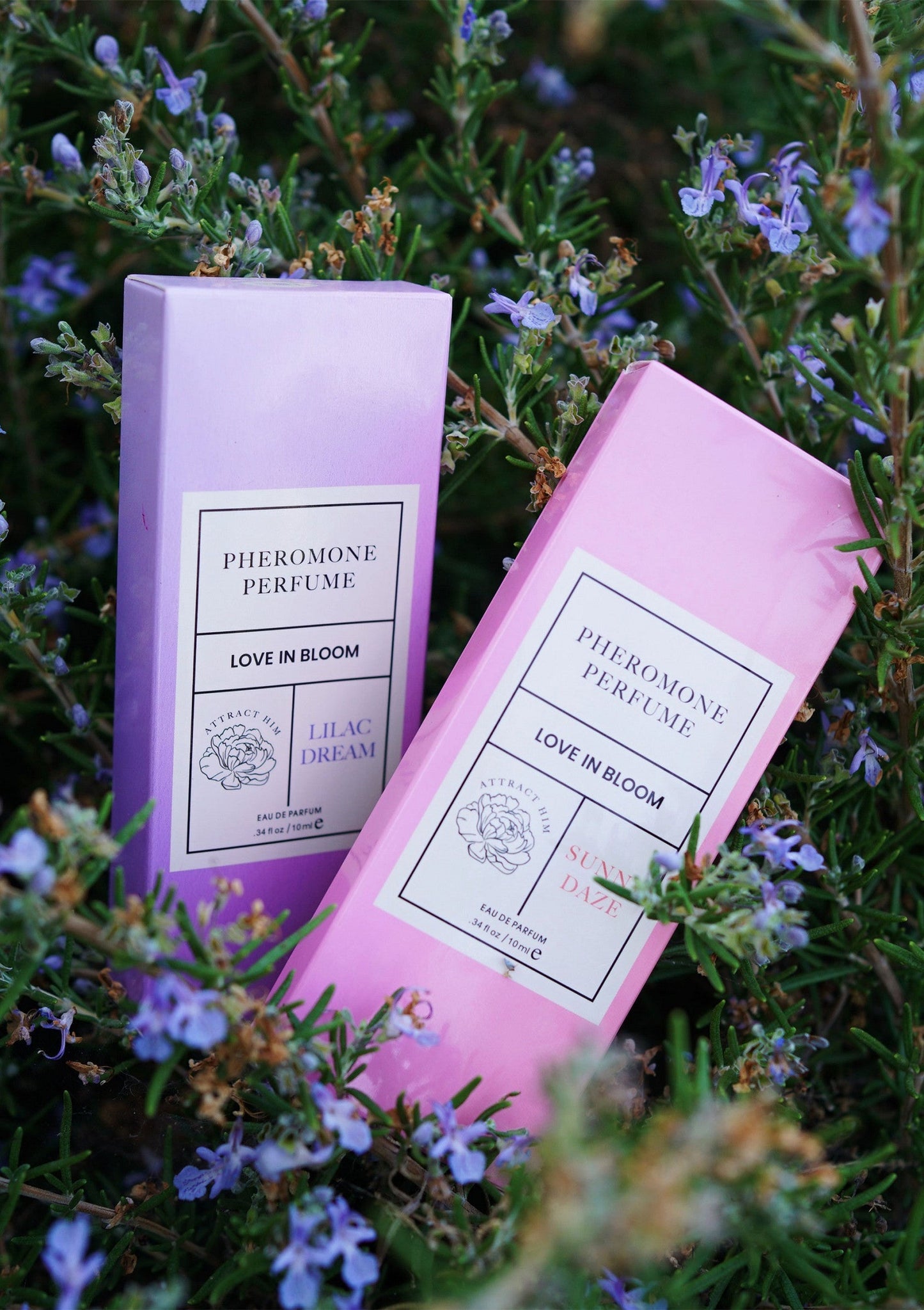 Phero Parfum Attract Him 10 ml