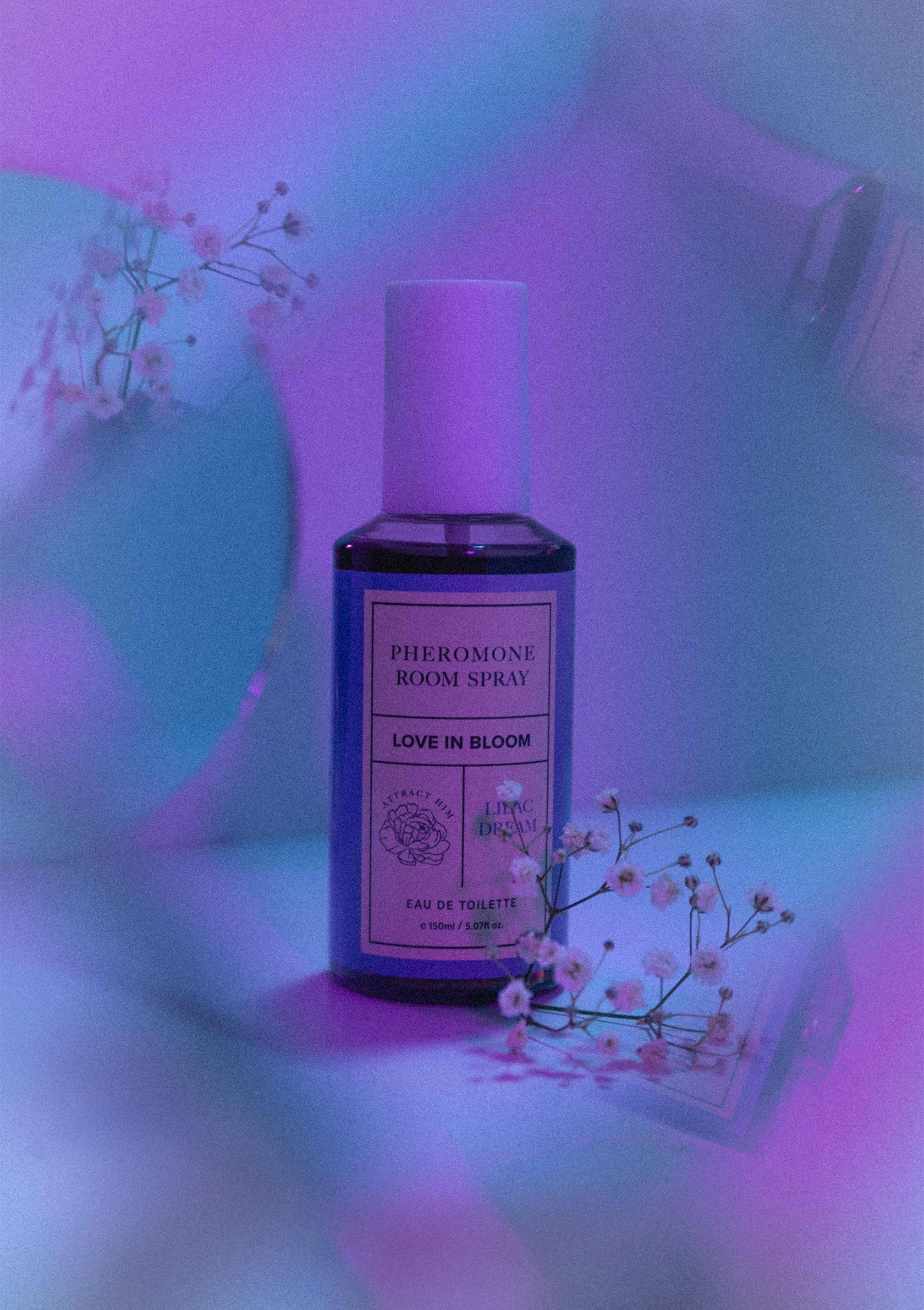 Room Phero Attract Him 150 ml