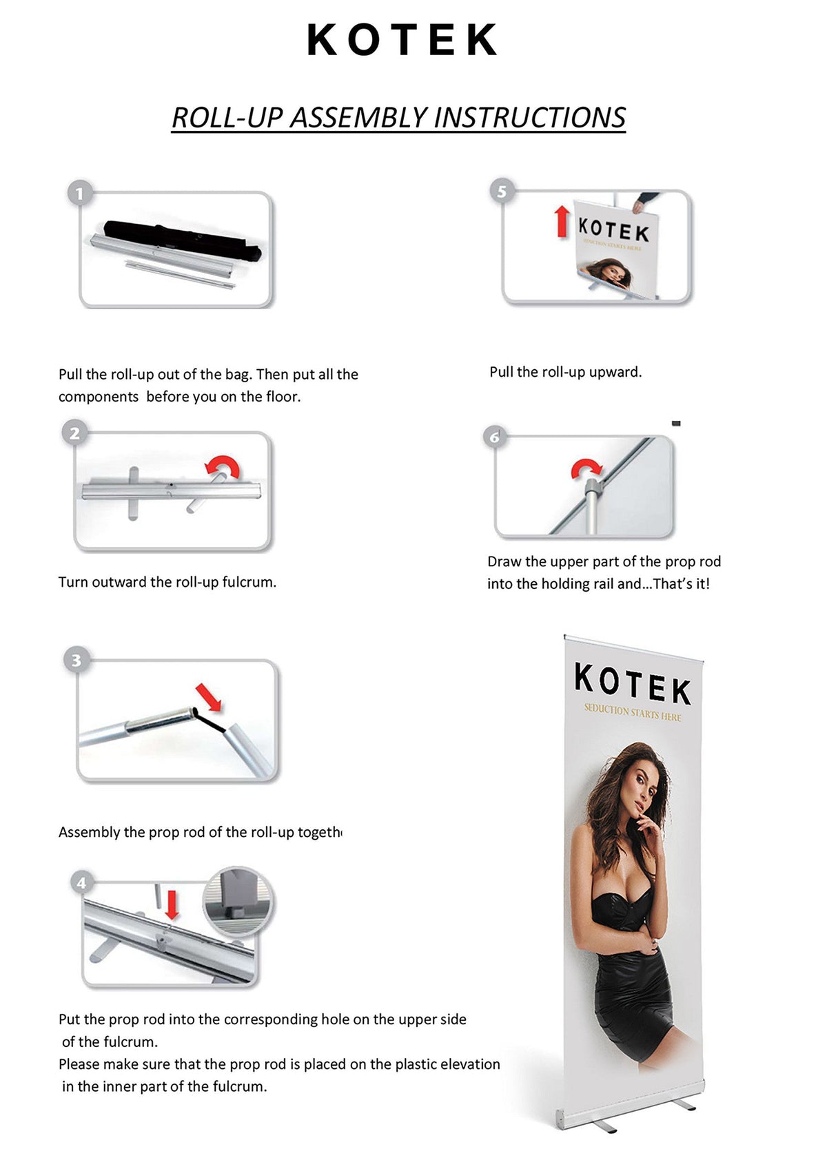 Kotek Roll-Up Banner